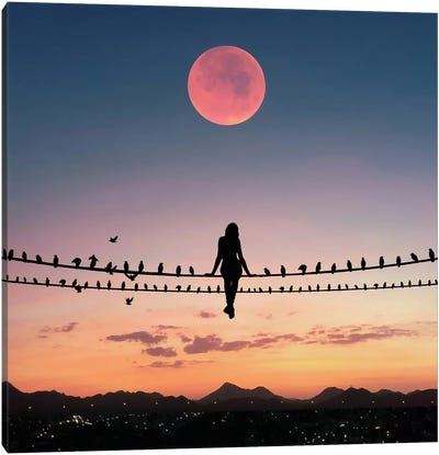 Bird On The Wire Canvas Art Print - Full Moon Art