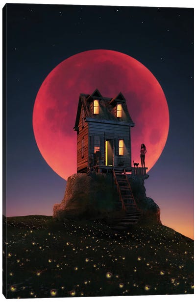 A Night With A Full Moon Canvas Art Print - Haunted Houses