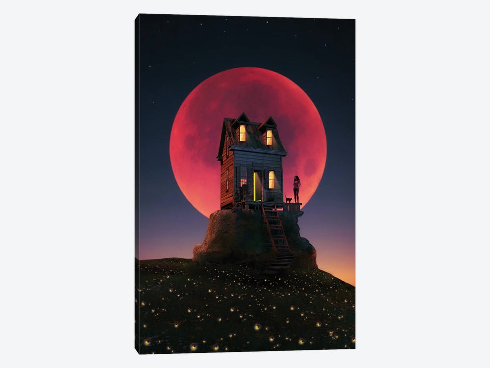 A Night With A Full Moon by Abdullah Evindar 1-piece Canvas Art