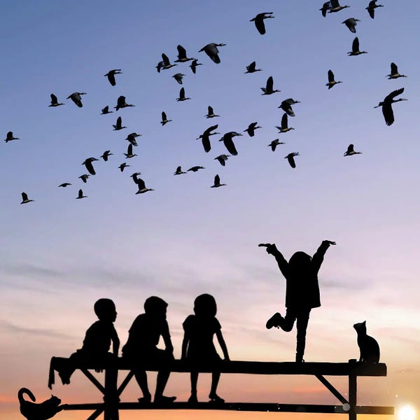 Silhouettes: Happy Kids by Abdullah Evindar