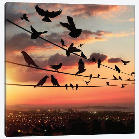 Bird's Sunset Canvas Print #AEV8} by Abdullah Evindar Canvas Art