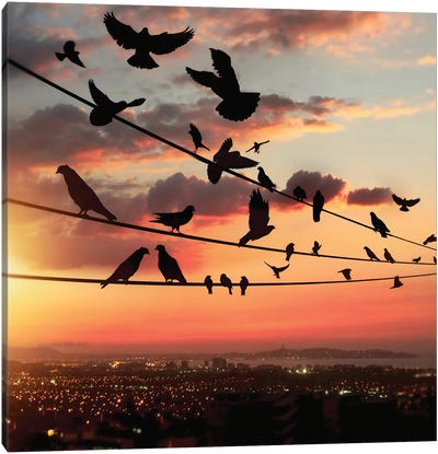 Bird's Sunset Canvas Art Print - Birds On A Wire