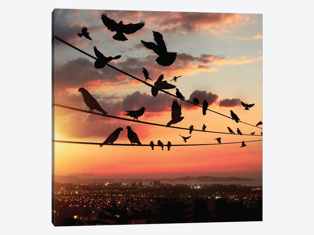 Bird's Sunset by Abdullah Evindar 1-piece Canvas Print