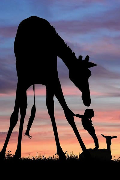 Giraffes: Giraffe by Abdullah Evindar