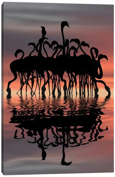 Flamingo Canvas Art Print - Abdullah Evindar