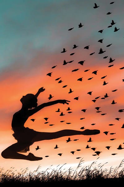 Abdullah Evindar: Ballerina by Abdullah Evindar