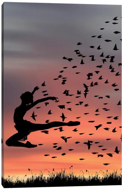 Birds Dance Canvas Art Print - Abdullah Evindar