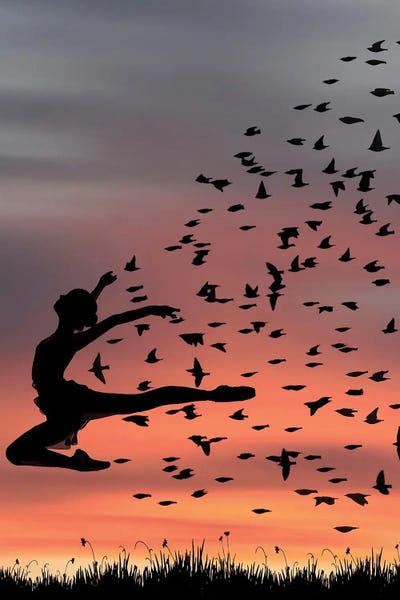 Ballet: Birds Dance by Abdullah Evindar