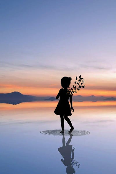 Silhouettes: Butterfly by Abdullah Evindar