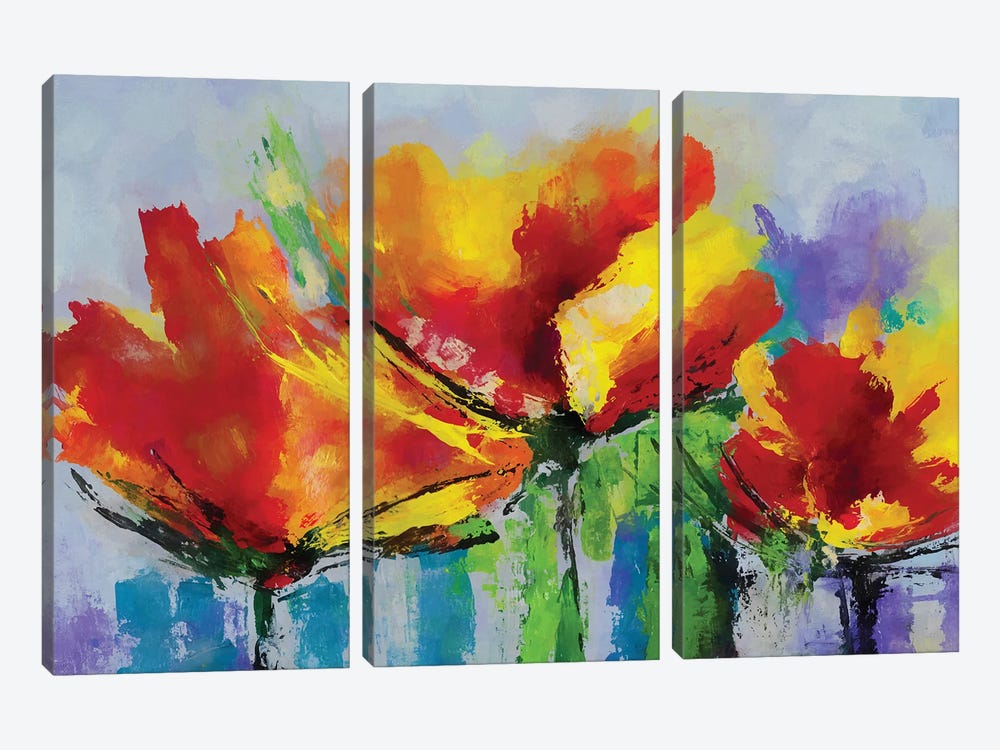 Poppies by Angel Estevez 3-piece Canvas Art Print