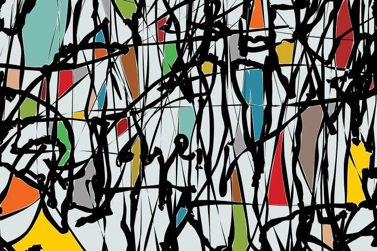 Pollock Wink III by Angel Estevez canvas print