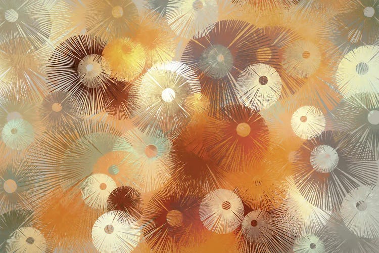 Fireworks by Angel Estevez wall art