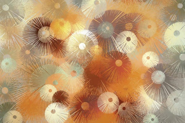 Angel Estevez: Fireworks by Angel Estevez