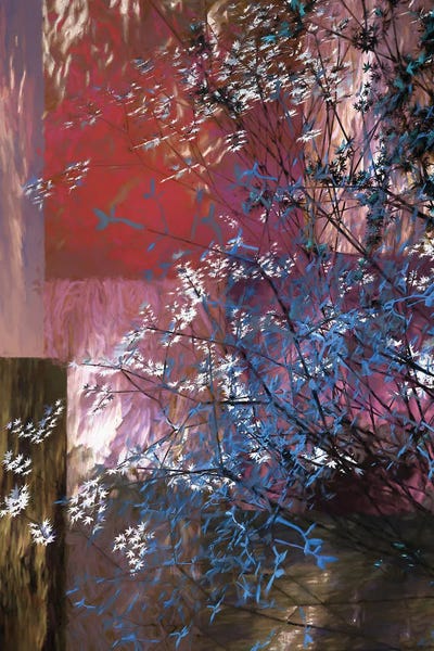 Angel Estevez: Blue And White Tree by Angel Estevez