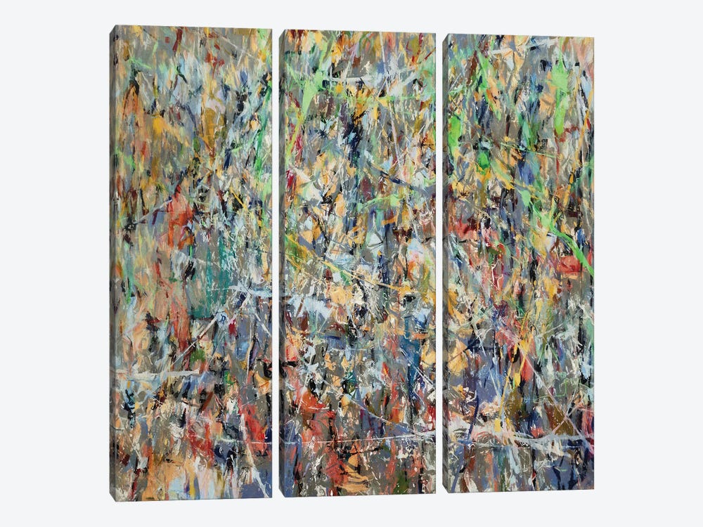 Pollock Wink XL by Angel Estevez 3-piece Art Print