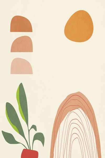Angel Estevez: Potted Plants At Dawn by Angel Estevez