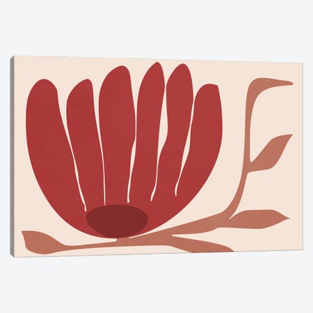 Red Flower II Canvas Print #AEZ1406} by Angel Estevez Art Print