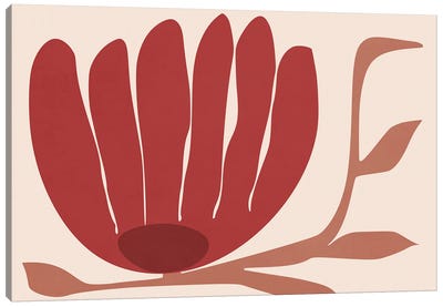 Red Flower II Canvas Art Print - The Cut Outs Collection