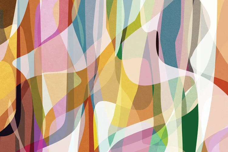 Sinuous And Transparent Shapes II by Angel Estevez wall art