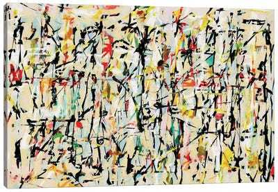 Pollock Wink XLII Canvas Art Print - Angel Estevez