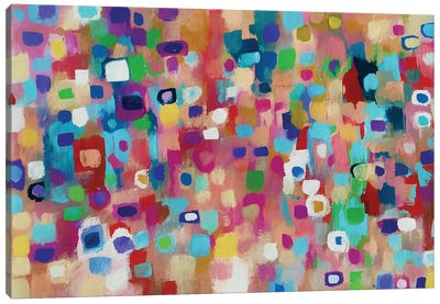 Joy Of Colors II Canvas Art Print - Angel Estevez