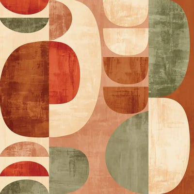 Rounded Pieces XV by Angel Estevez canvas print