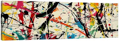 Pollock Wink LI Canvas Art Print - Angel Estevez