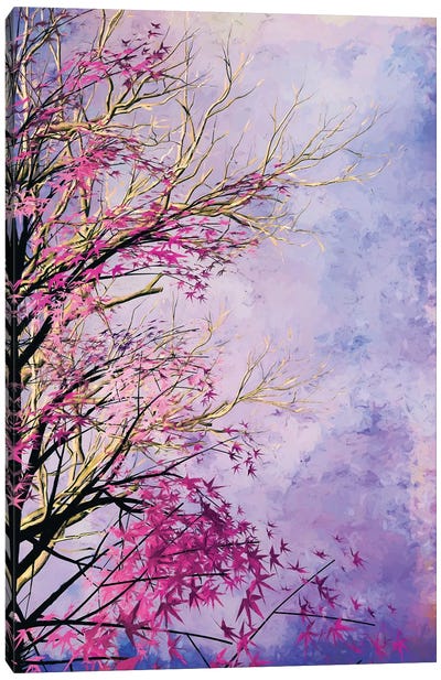 Colors Of Nature Canvas Art Print - Angel Estevez