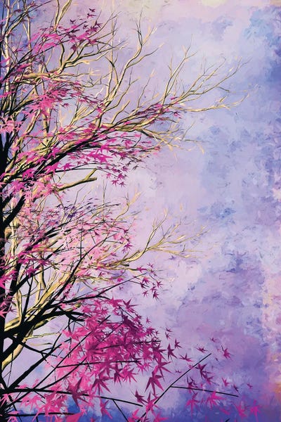 Angel Estevez: Colors Of Nature by Angel Estevez