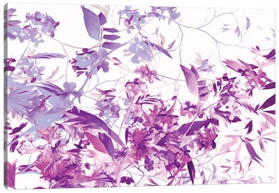 Spring Colors III Canvas Art Print - Angel Estevez