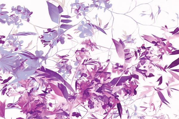 Angel Estevez: Spring Colors III by Angel Estevez