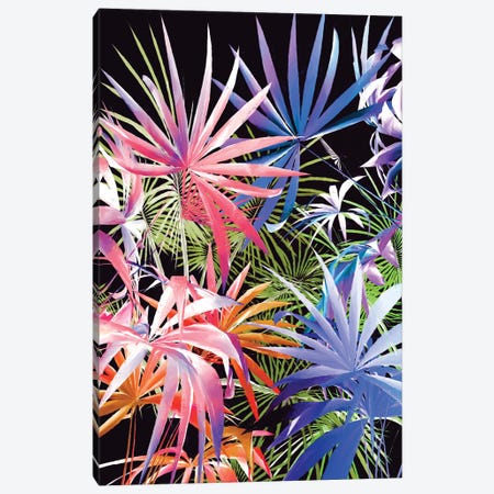 Tropical Foliage III Canvas Print #AEZ206} by Angel Estevez Canvas Wall Art
