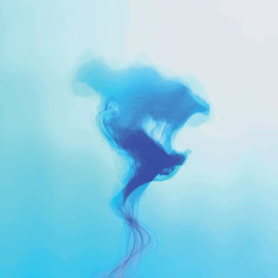 Jellyfish by Angel Estevez framed canvas print