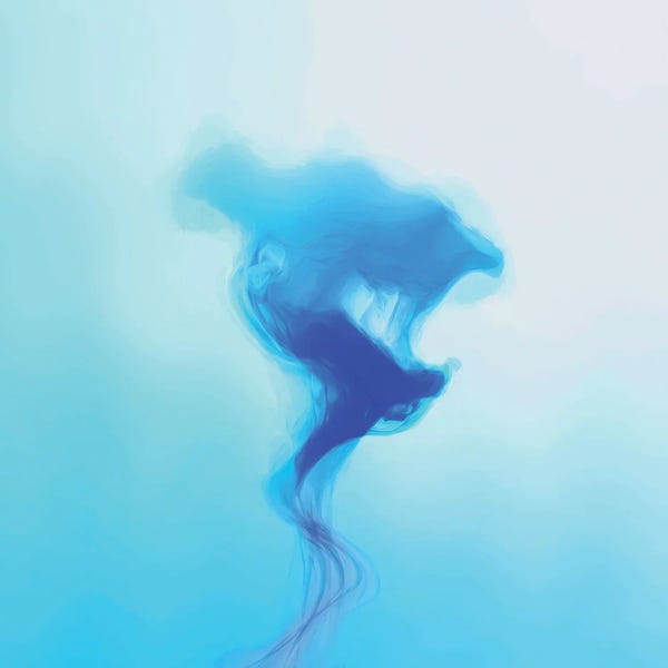 Angel Estevez: Jellyfish by Angel Estevez