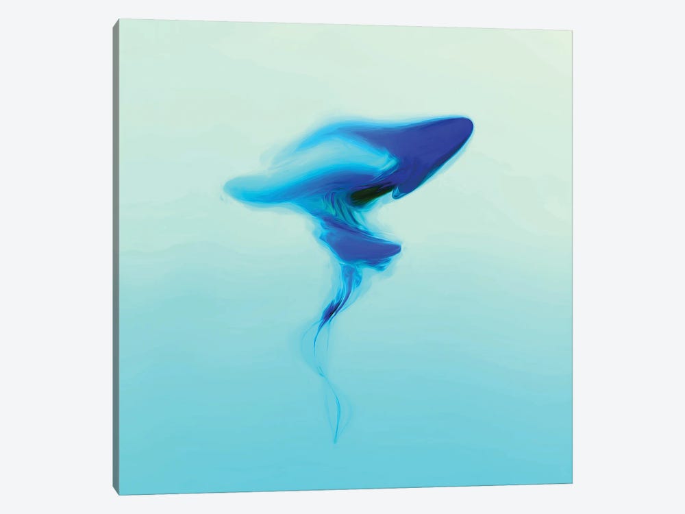 Jellyfish II by Angel Estevez 1-piece Canvas Art