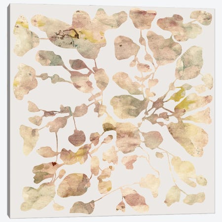 Autumnal Foliage Canvas Print #AEZ232} by Angel Estevez Canvas Wall Art