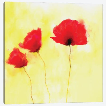 Red Poppies Canvas Print #AEZ236} by Angel Estevez Canvas Print