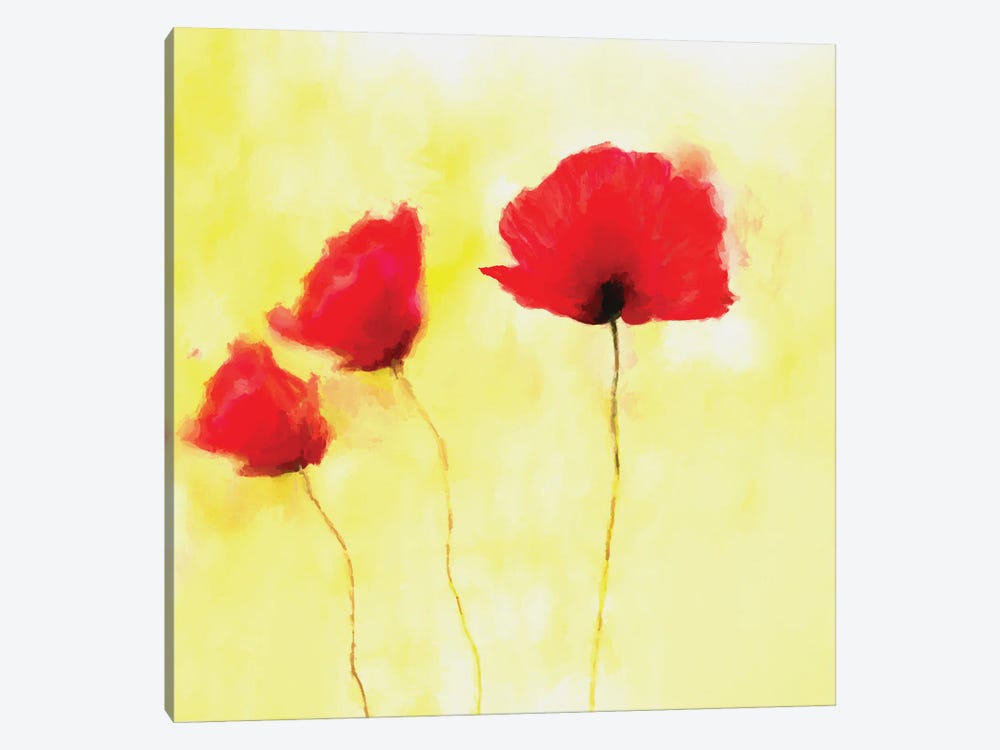 Red Poppies by Angel Estevez 1-piece Canvas Art Print