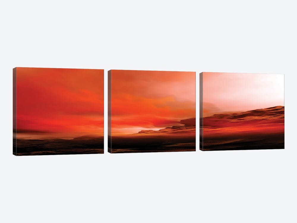 Red Sky II by Angel Estevez 3-piece Canvas Artwork