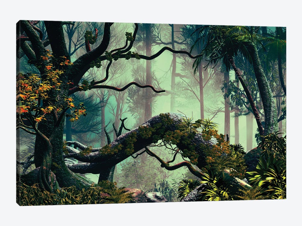 In The Forest by Angel Estevez 1-piece Canvas Wall Art