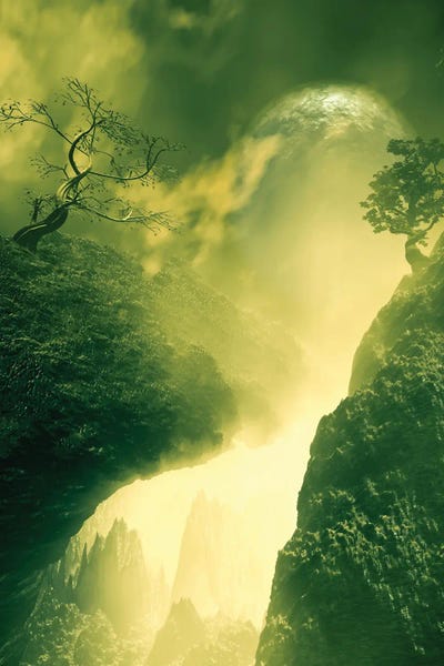 Mist & Fog: Lonely Tree by Angel Estevez