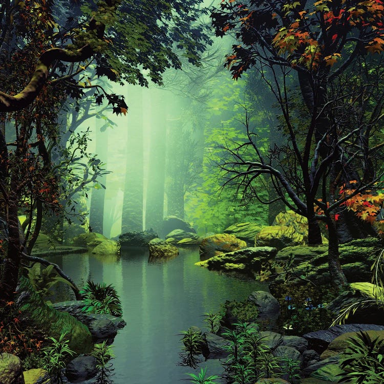 Magic Pond by Angel Estevez canvas print