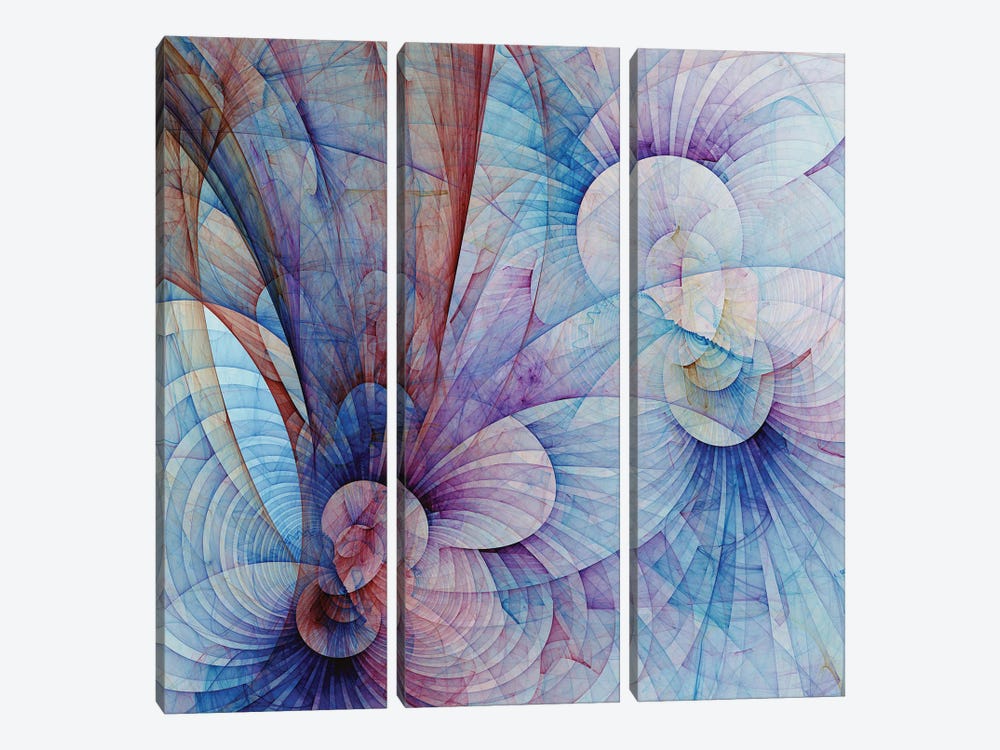 Flower Petals by Angel Estevez 3-piece Canvas Art