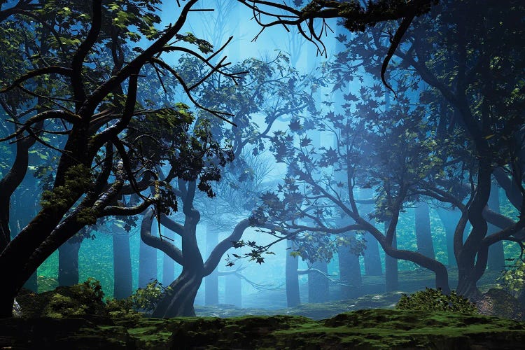 Misty Grove by Angel Estevez wall art