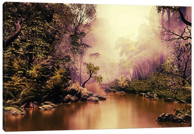 Mysterious Jungle Canvas Art Print - Mist & Fog Art