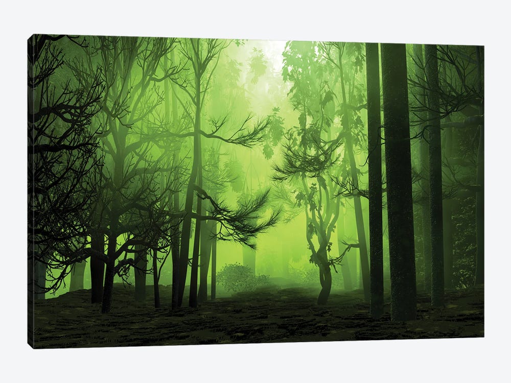Mystical Forest by Angel Estevez 1-piece Canvas Artwork