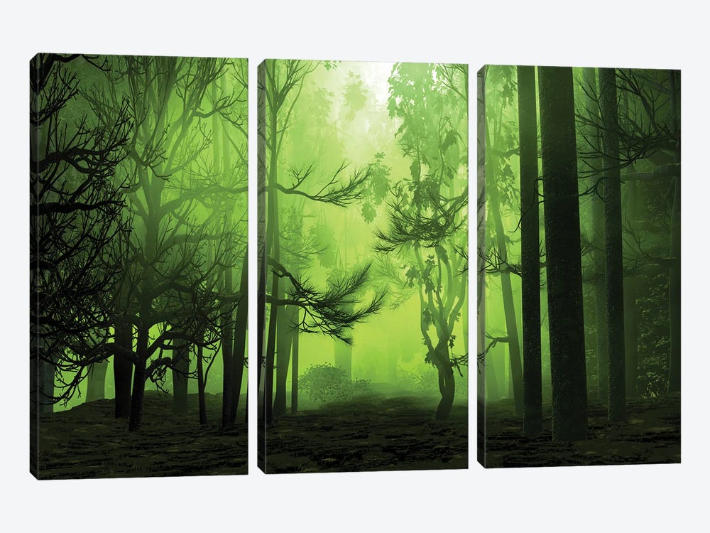 Mystical Forest by Angel Estevez 3-piece Canvas Wall Art
