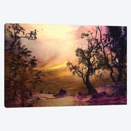Pink-Toned Landscape Canvas Print #AEZ39} by Angel Estevez Canvas Artwork