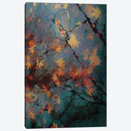 Autumnal Foliage II Canvas Print #AEZ415} by Angel Estevez Canvas Print