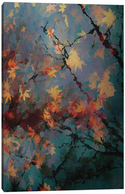 Autumnal Foliage II Canvas Art Print - Angel Estevez